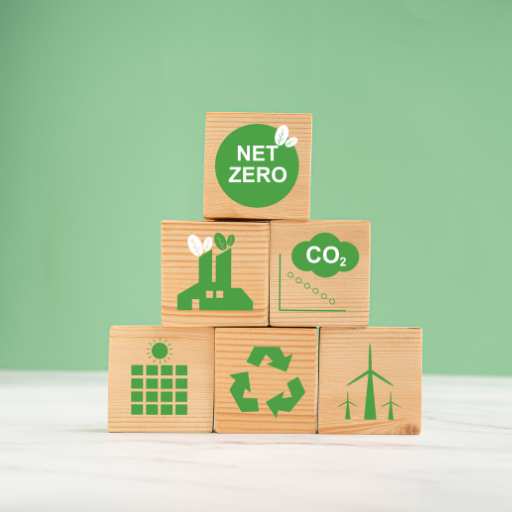 projekt bez nazwy 29